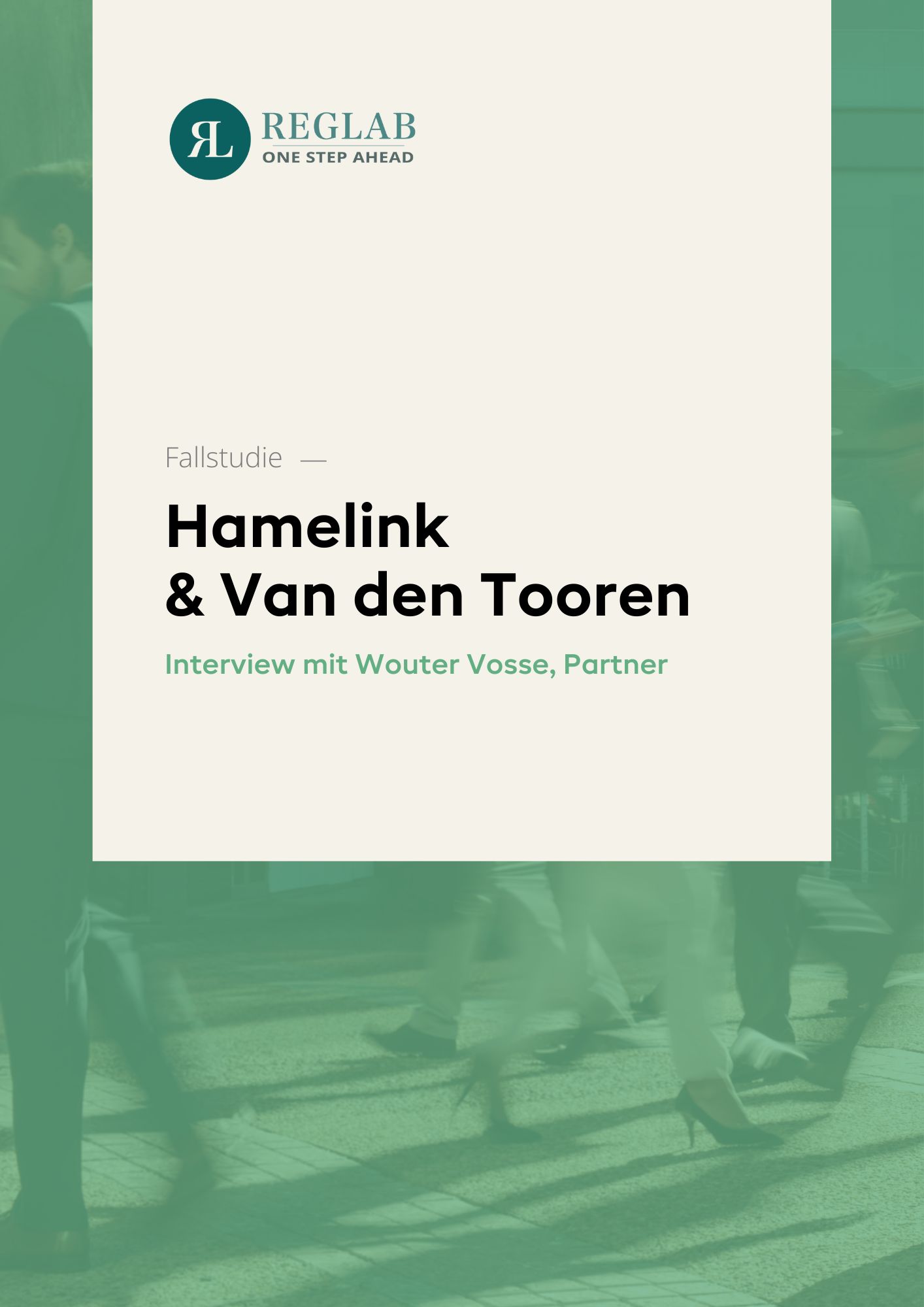 RegLab_CS_Hamelink_VanDenTooren_cover_DE