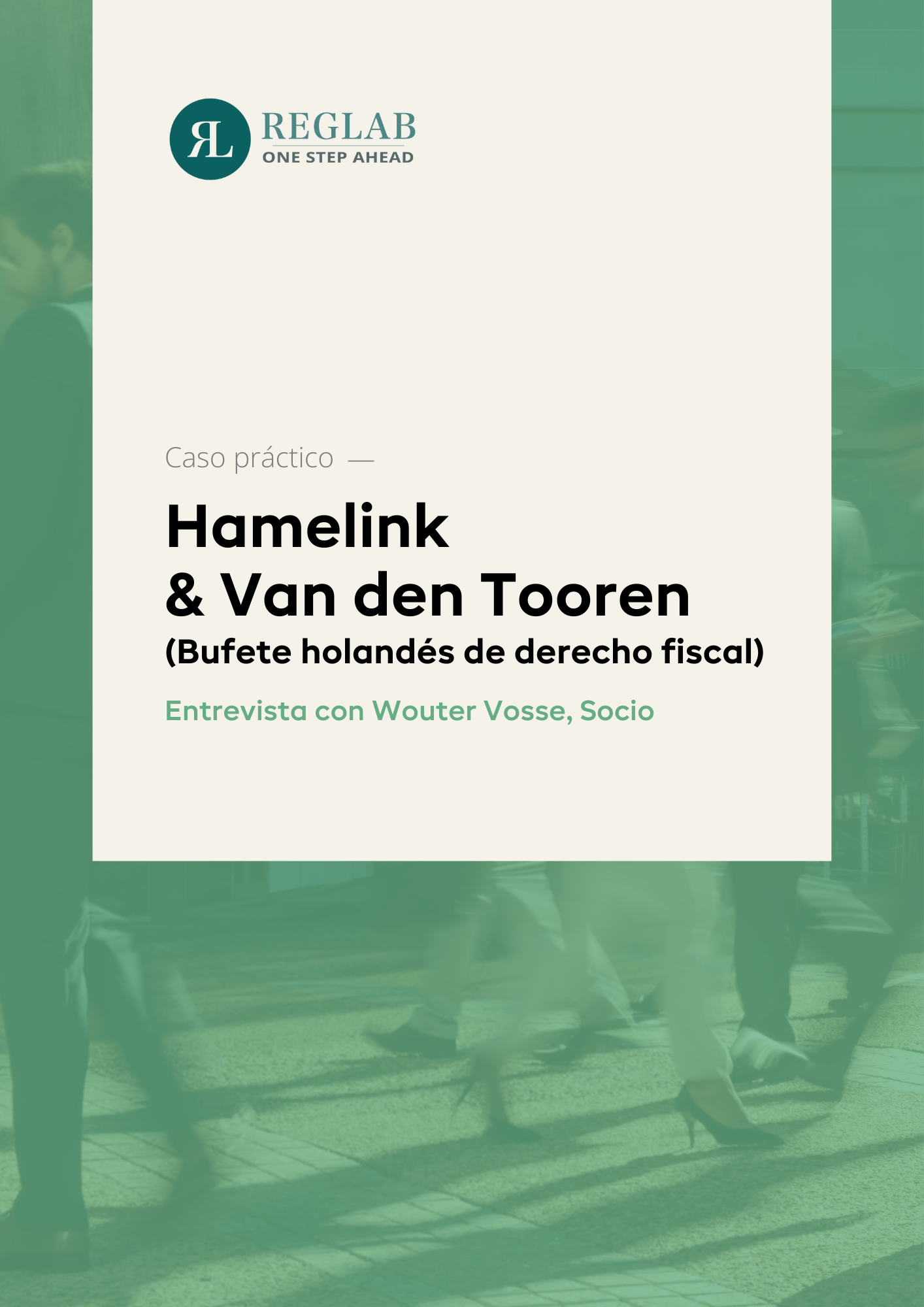 RegLab_CS_Hamelink_VanDenTooren_cover_ES